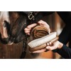 Equimour Metal Curry – Horse Curry with Brass Tines &