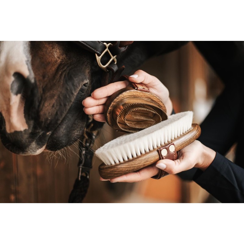 Equimour Metal Curry – Horse Curry with Brass Tines &