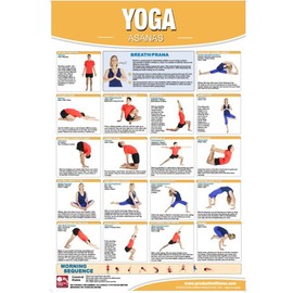 Productive Fitness Home Gym Fitness Chart Poster Series Yoga Exercises (Laminated)