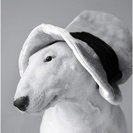 English Bull Terrier Dog Greeting Card - Square