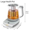 cglightwsparkle Health Pot Electric Kettle with Infuser，Smart Fruit Hot Tea