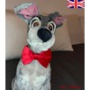 New Dogs Bow Tie Valentine's Day Christmas Velvet red LOVE