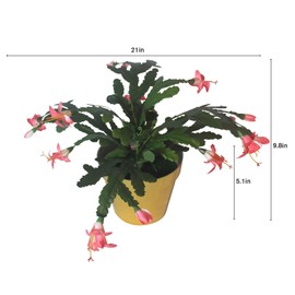 alyptus Artificial Christmas Cactus Plant Set of 3 Red Poinsettia Flowers Beautiful Holiday Cactus Artificial Christmas Decorations with Pots (Red)