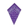 Underground Kulture Purple Bandana Paisley Scarf (Purple Bandana), Violet, UK
