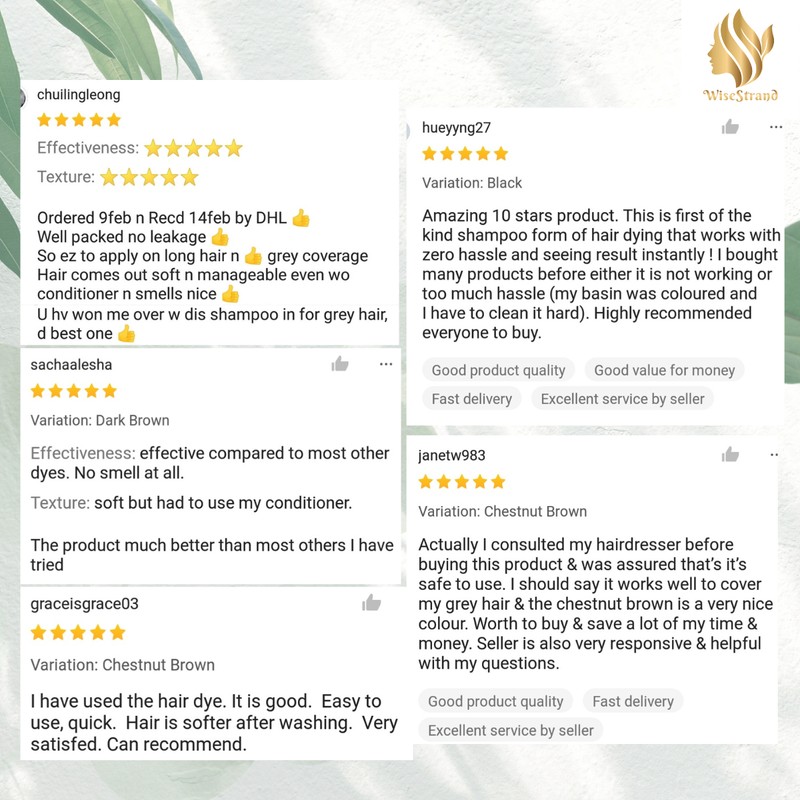 WiseStrand KKM Approved WiseStrand Natural Hair Dye Colour Shampoo |