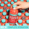 ROAR Complete Hydration Organic - Electrolyte Drinks Loaded with Vitamins