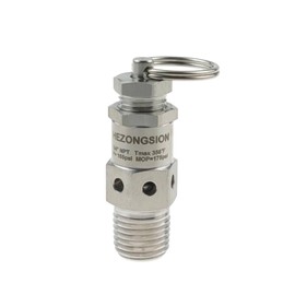 HEZONGSION 1/4" NPT Male Stainless Steel SS304 Mini Adjustable Pressure Relief Safety Valve with Lock,165psi Set Pressure,115-175psi Adjustable Pressure Range