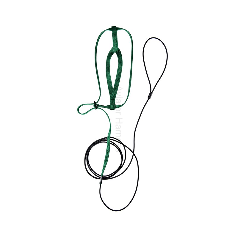 The Aviator Bird Harness, m