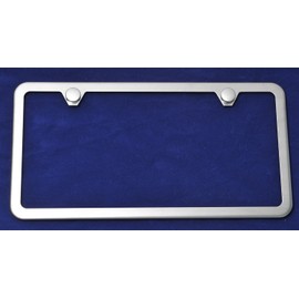 Stainless Steel Slimline License Plate Brush Frame