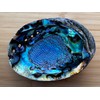 Abalone Shell, Seashell Incense Burner, Smudge Bowl for Holding Smudge