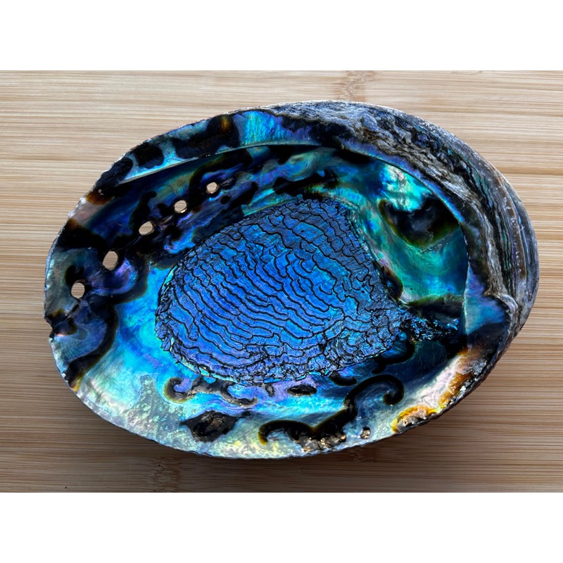 Abalone Shell, Seashell Incense Burner, Smudge Bowl for Holding Smudge