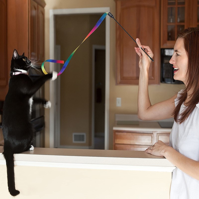 cobee Cat Interactive Wand, Cat Rainbow Wand Toys Cat Wand