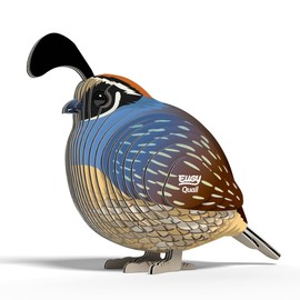 EUGY 650129 Wachtel, 3D Tier-Puzzle für Kinder und Erwachsene zum Zusammenbauen, DIY Tierfigur, Bastelset ab 6 Jahren