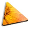 1 x Triangle Coaster - Orange Marigold Flower Cork Backed