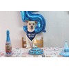 JPB Dog Birthday Boy Bandana