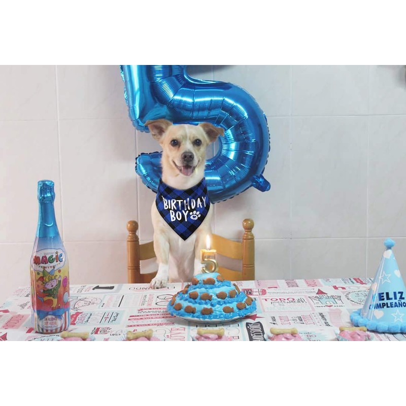 JPB Dog Birthday Boy Bandana