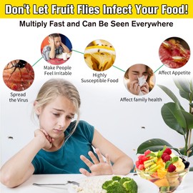 Fruit Fly Trap for Indoors, Effective Fruit Fly Catcher Gnat Killer with Sticker, Gnat Traps for House Indoor with Bait, Non-Toxic Reusable Easy to Use Fly Trap for Kitchen Home - 2 Pack