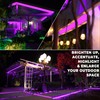 West Ivory 381LEDs, 50ft Purple Outside LED Rope Light, 8