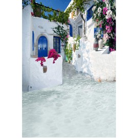 Laeacco 5x7ft Greece Backdrop Romantic Santorini Wedding Photo Backdrop Aegean Sea Greek Architecture White Stone House Flowers Momma Mia Theme Birthday Party Background Family Party Photo Studio Prop
