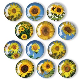 Lissaberg 12 PCS Cute Sunflower Magnets for Fridge, Strong Magnetic Decoration Round Circle Glass Magnet for Home, School, Locker Magnet for Gift, Office Whiteboard, Picture, Map, Sunflower 12