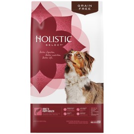Holistic Select Natural Dry Dog Food Grain Free Adult & Puppy Salmon. Anchovy & Sardine