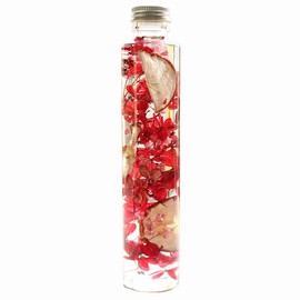 Hortus siccus Red Colors Series 紫陽花 Apples Gypsophila Herbarium