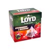 Loyd the Magic Experience Flavoured Fruit Tea Strawberry & Rhubarb 20 teabags