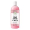 Tónico Facial Productos Mart Mexico Agua de Rosas Baba de Caracol 1L Hipoalergénico