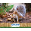 Backyard Seeds Squirrel & Chipmunk Food Mix – 8 lb