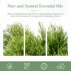 PHATOIL Tea Tree Essential Oil 3.4 fl oz (100 ml)