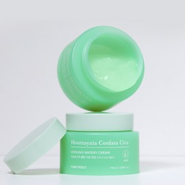 Tony Moly [Tony Moly] Eoseong Chocica Cooling Moisture Cream (100ml) / [토니모리]어성초시카 쿨링 수분 크림(100ml)