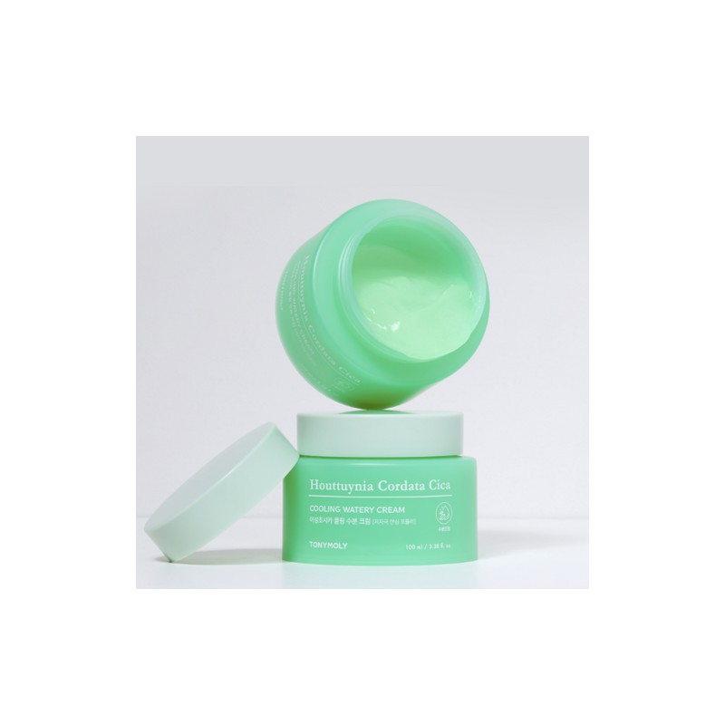 Tony Moly [Tony Moly] Eoseong Chocica Cooling Moisture Cream (100ml)