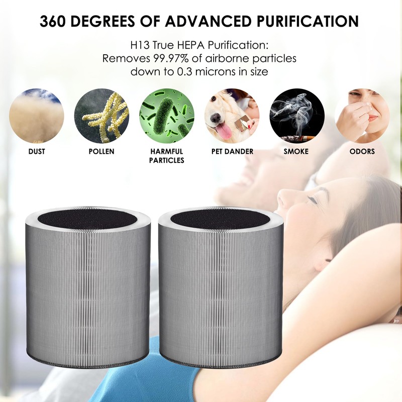 Flintar C610 Replacement Filter Z, Compatible with Winix C610 Air