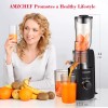 AmzChef Slow Masticating Juicer 3.3"-Inche Wide Feeding Chute juicer machines