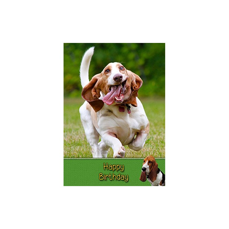 Basset Hound Birthday Card