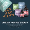 WILSONS - Digestion Supplement and Prebiotics for Dogs, Natural Dog