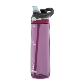 Contigo Ashland Autospout Water Bottle with Straw, 720 ml Large BPA-Free Plastic Water Bottle, Leak-Proof, Ideal for School, Work, Sports, Bike, Hiking