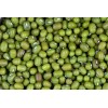 SanMac Organic Green Moong Mung Beans - 5 lb