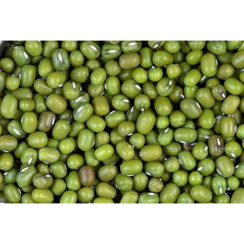 SanMac Organic Green Moong Mung Beans - 5 lb