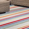 Superior Indoor Outdoor Area Rug, Perfect for Patio, Bedroom, Kitchen,
