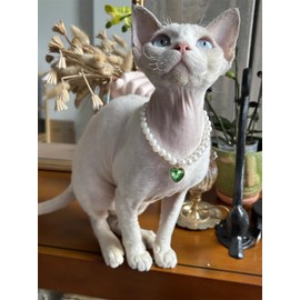 Daovace Pearl Cat Collar Dog Collar Rhinestone Necklaces for Small Dogs Collar Accessories Pet Collar (Small, Emerald)