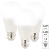 Luminea Daylight Bulbs: Set of 6 LED Bulbs E27 Class