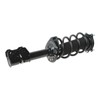 Front Strut & Coil Spring Assembly Set Driver & Passenger