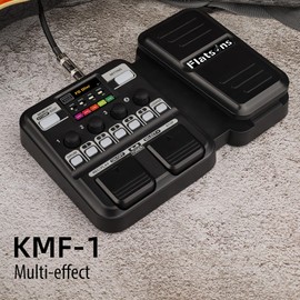 Multi-Effects Processor for Electric Guitar