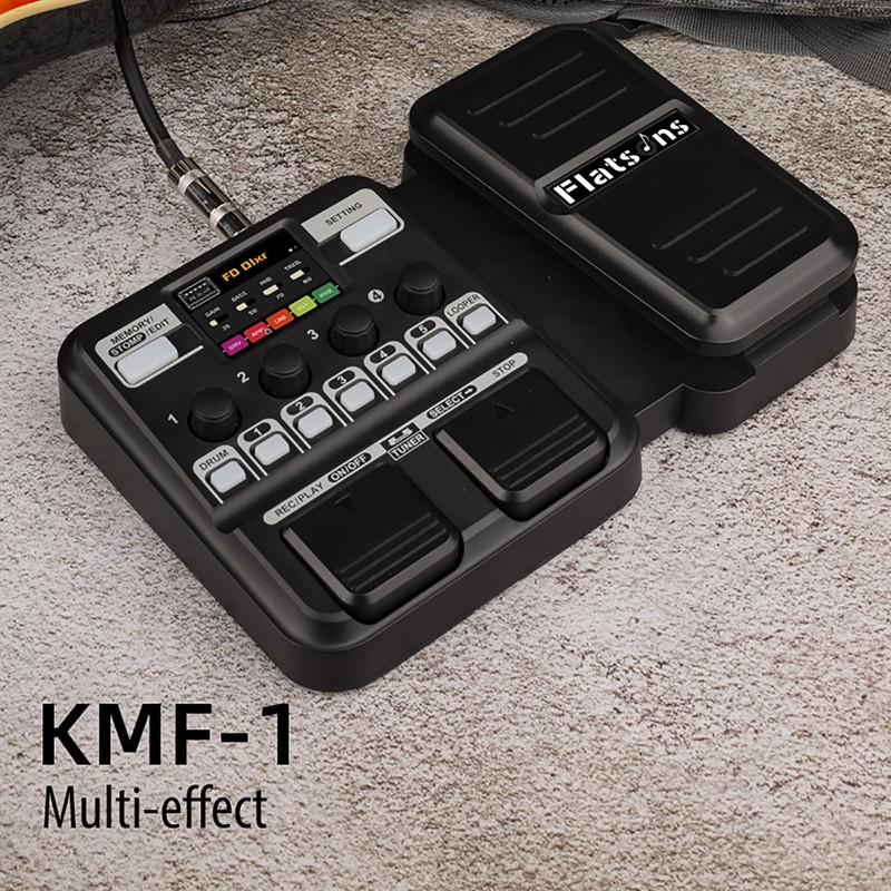 Multi-Effects Processor for Electric Guitar