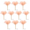 Ostrich Feather Duster 12 Inch Handheld Duster Supplies, Wooden Handle
