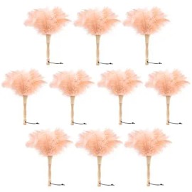 Ostrich Feather Duster 12 Inch Handheld Duster Supplies, Wooden Handle Feather Duster for Cleaning Keyboard Home Car OfficeColor: 12in-10pcs-champagne