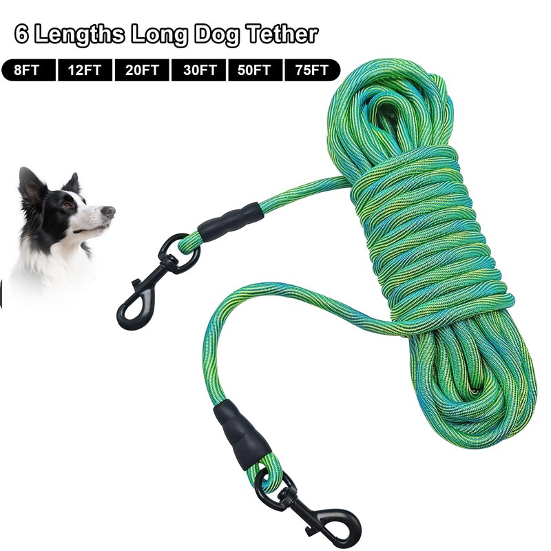 BTINESFUL 8ft 12ft 20ft 30ft 50ft 75ft Dog Tie Out