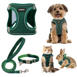GAMUDA Small Pet Harness Collar and Leash Set, Step in No Chock No Pull Linen Fabric Soft Mesh Dog Vest Harnesses Reflective for Dogs Puppy Cats Kitten Rabbit (Green, XL)