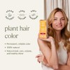Khadi Herbal Hair – Herbal Dawn Colour (Sunrise) 100 g